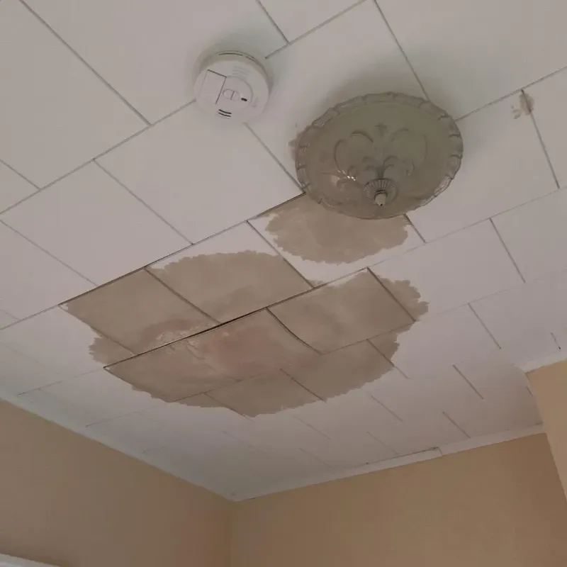 Ceiling Water Damage Repair in Banner County, NE