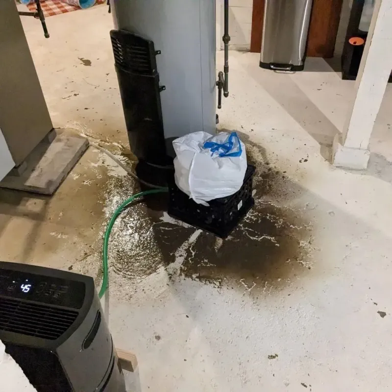 Sewage Backup Cleanup Service in Banner County, NE